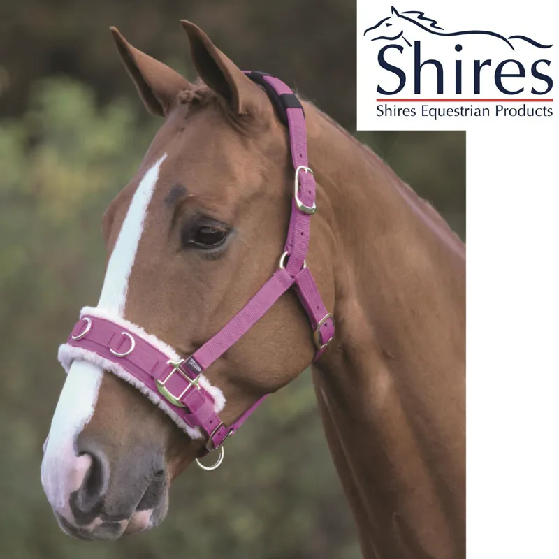 Shires Fleece Lined Lunge Cavesson - Raspberry 